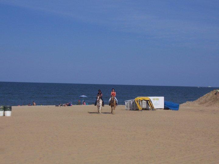 Hyatt House Virginia Beach / Oceanfront Eksteriør billede